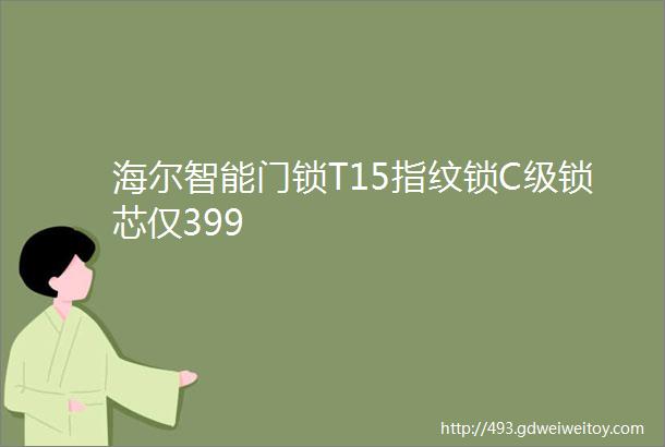 海尔智能门锁T15指纹锁C级锁芯仅399